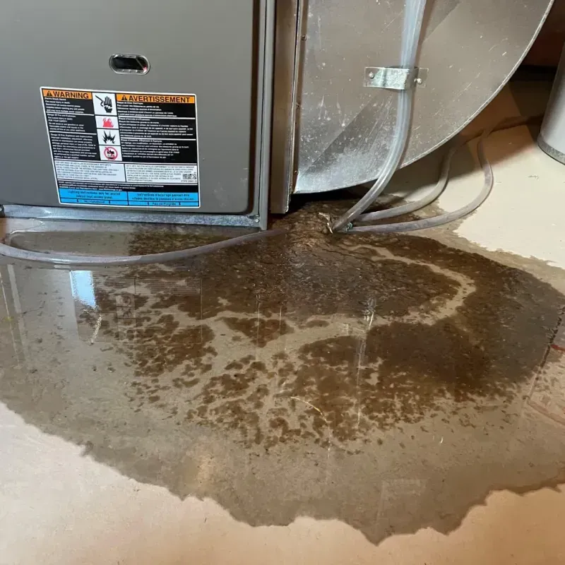 Appliance Leak Cleanup in Haines Borough, AK